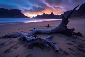 Washed Up Debris on a Scenic Beachscape photo