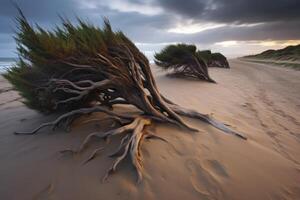 Otherwordly Scenic Beachscape photo