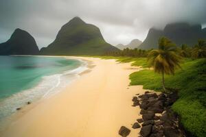 Tropical Beach Afternoon Landscape photo