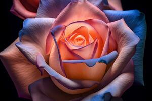 VIbrant Multicolored Roses Texture Background Generative AI photo