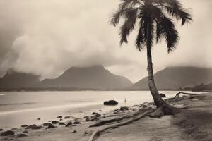 Vintage Tropical Beachscape Photo Generative AI