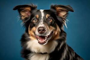 un perro es sonriente en frente de un azul antecedentes generativo ai foto