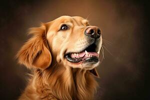 a golden retriever is looking up at the camera generative AI photo