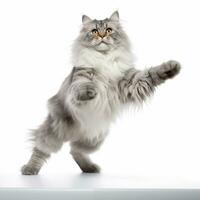 a gray and white cat standing on its hind legs generative AI photo