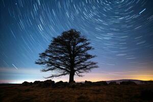 un solitario árbol en el medio de un campo debajo un estrella sendero generativo ai foto