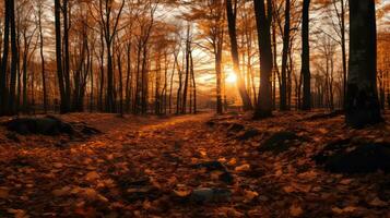 a path through the woods with leaves on the ground generative AI photo