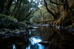 a river flowing through a forest with rocks and trees generative AI photo