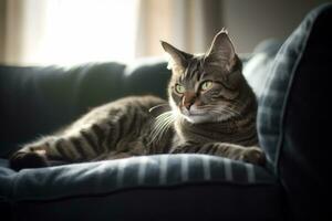 a tabby cat sitting on a couch in front of a window generative AI photo