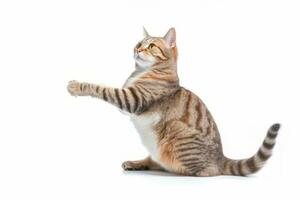 a tabby cat sitting on its hind legs and reaching for something generative AI photo