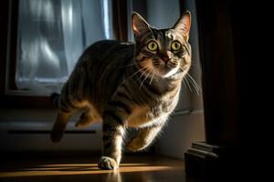 un atigrado gato corriendo en frente de un ventana generativo ai foto