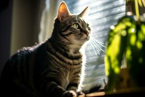 un atigrado gato sentado en un ventana umbral con luz de sol brillante en eso generativo ai foto