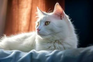 un blanco gato tendido en un cama en frente de un ventana generativo ai foto