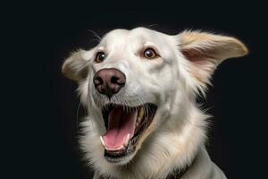 a white dog with its mouth open on a black background generative AI photo