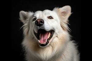 a white dog with its mouth open on a black background generative AI photo