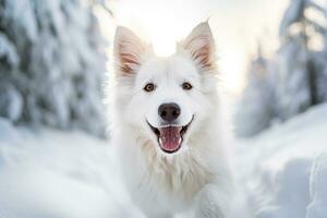 un blanco perro corriendo mediante el nieve generativo ai foto