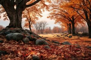 an autumn scene with trees and rocks in the foreground generative AI photo