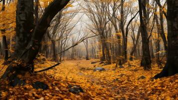 an image of an autumn forest with leaves on the ground generative AI photo