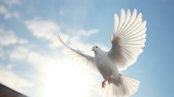 A white dove in the blue sky air with wings wide open in front of the sun. Freedom concept and international day of peace. Generative Ai photo