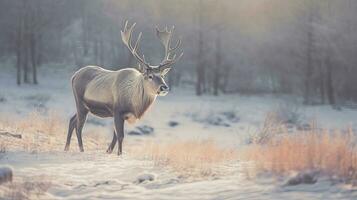 A Reindeer in winter tundra. Generative Ai photo