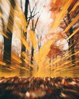 a blurry image of an autumn forest with trees and leaves generative ai photo