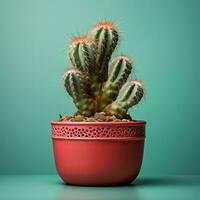 un cactus planta en un rojo maceta en un azul antecedentes generativo ai foto