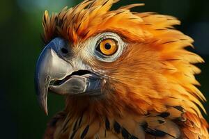 un cerca arriba de un naranja y negro pájaro generativo ai foto