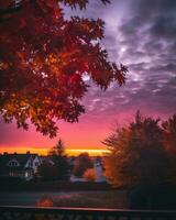 a colorful sunset over a tree and house generative ai photo