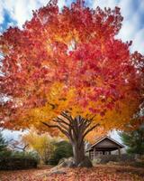 a large tree with red leaves in the fall generative ai photo