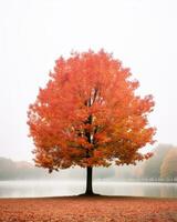 un solitario árbol en el medio de un brumoso lago generativo ai foto