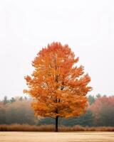 un solitario árbol en el medio de un brumoso campo generativo ai foto