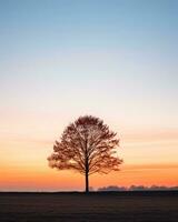 un solitario árbol soportes en el medio de un campo a puesta de sol generativo ai foto