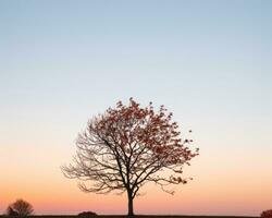 un solitario árbol soportes en el medio de un campo a puesta de sol generativo ai foto