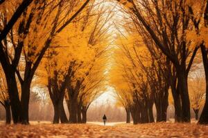 a person walking down a path surrounded by trees generative ai photo