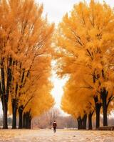 a person walking through a park with trees that are covered in yellow leaves generative ai photo