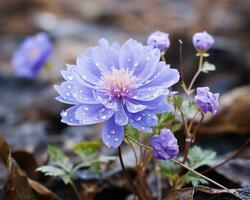 a purple flower with water droplets on it generative ai photo