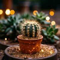 a small cactus plant in a pot on the ground with lights in the background generative ai photo