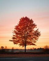 un árbol en el medio de el la carretera generativo ai foto