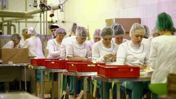 Busy workers at the factory video