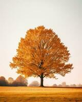 un imagen de un solitario árbol en el medio de un campo generativo ai foto