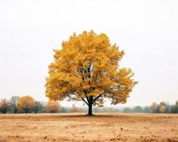 an image of a lone tree in the middle of a field generative ai photo