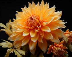 un naranja flor es en un florero en un negro antecedentes generativo ai foto