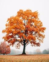 un naranja árbol en el medio de un brumoso campo generativo ai foto