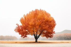 un naranja árbol en el medio de un brumoso campo generativo ai foto