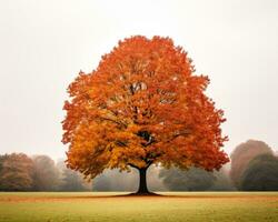 un naranja árbol en el medio de un brumoso campo generativo ai foto