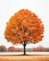 un naranja árbol en el medio de un nieve cubierto campo generativo ai foto