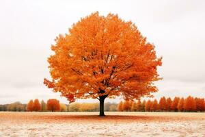 un naranja árbol soportes solo en el medio de un campo generativo ai foto