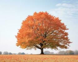 an orange tree stands alone in a field generative ai photo