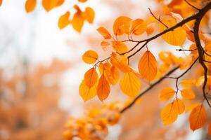 autumn leaves on a tree branch with blurred background generative ai photo