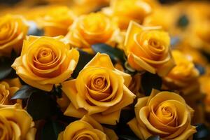 many yellow roses are arranged in a bouquet generative ai photo