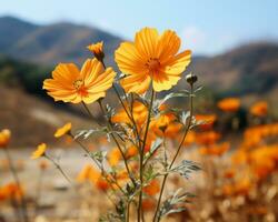 orange flowers in a field with mountains in the background generative ai photo